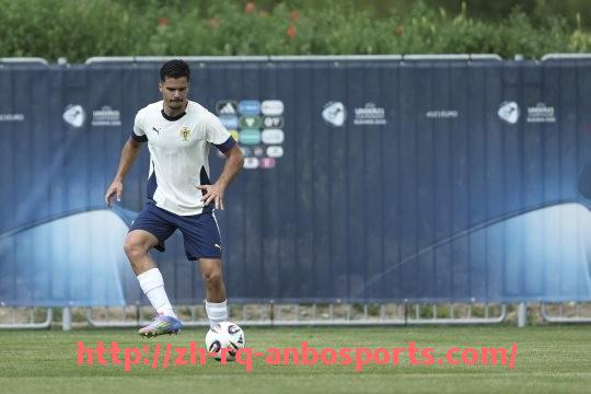 安博体育官网-法甲最佳中场组合及球员协作分析